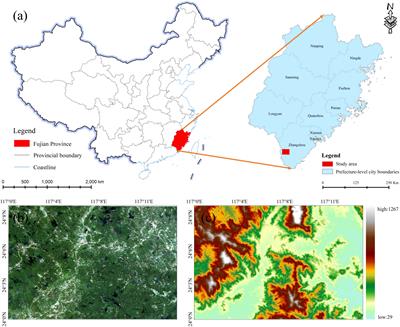 Machine learning algorithms for lithological mapping using Sentinel-2 and SRTM DEM in highly vegetated areas